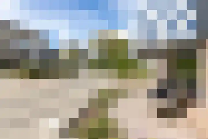 Baljuwlaan 14 Rockanje thumbnail 8