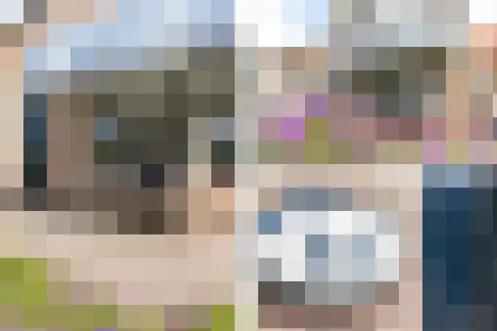 Baljuwlaan 14 Rockanje thumbnail 9