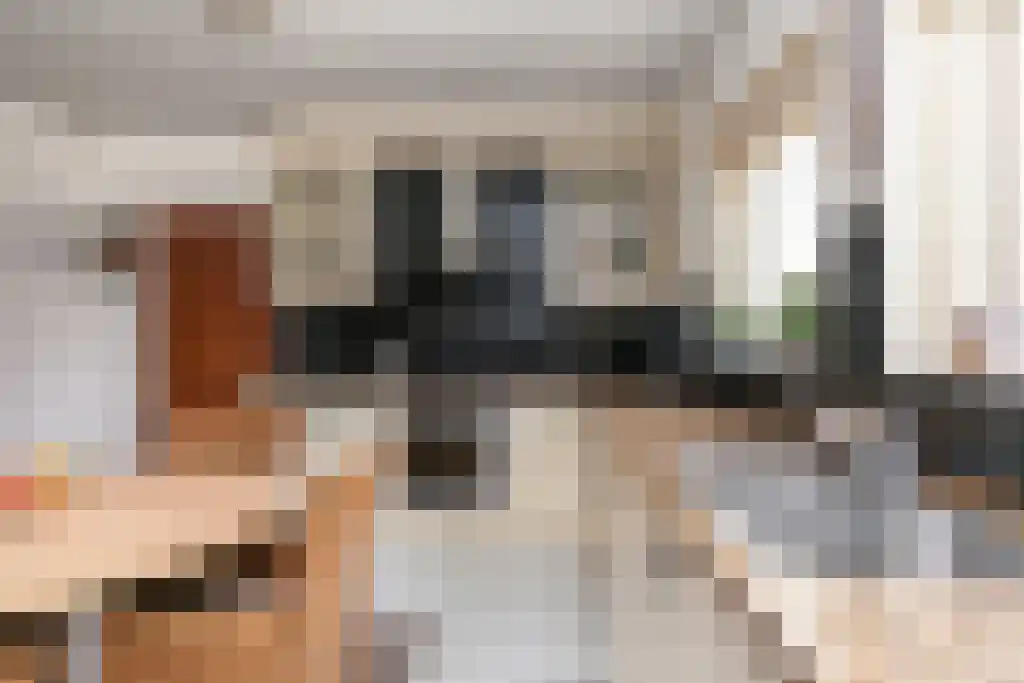 Baljuwlaan 45 Sluiskil thumbnail 10
