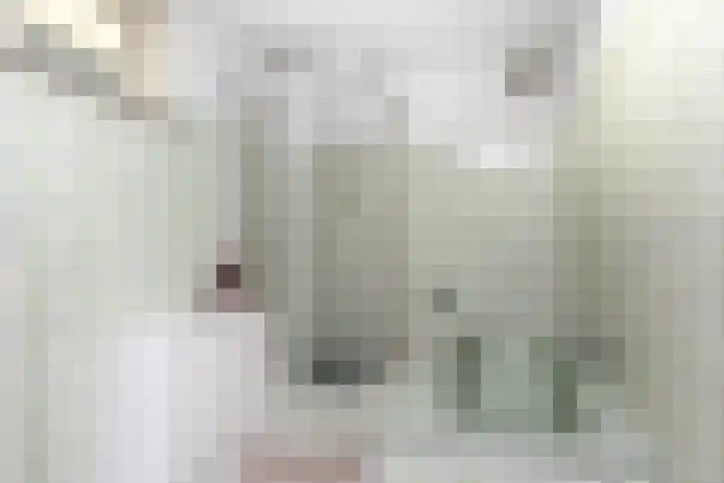 Baljuwlaan 45 Sluiskil thumbnail 15