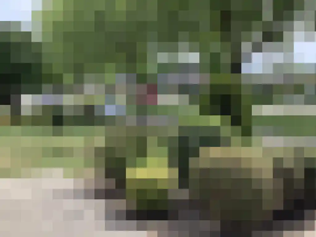 Baljuwlaan 45 Sluiskil thumbnail 18