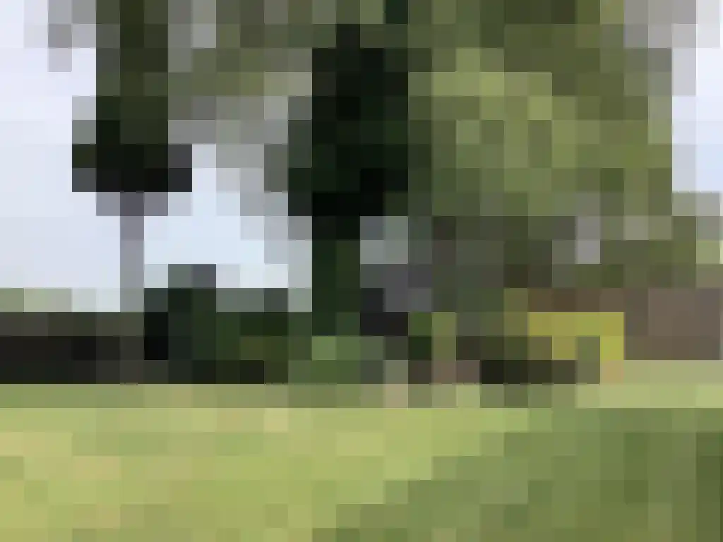 Baljuwlaan 45 Sluiskil thumbnail 19