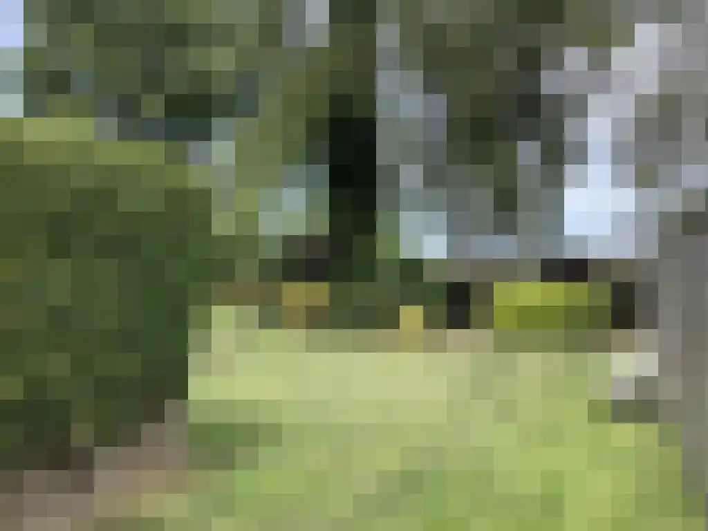 Baljuwlaan 45 Sluiskil thumbnail 20