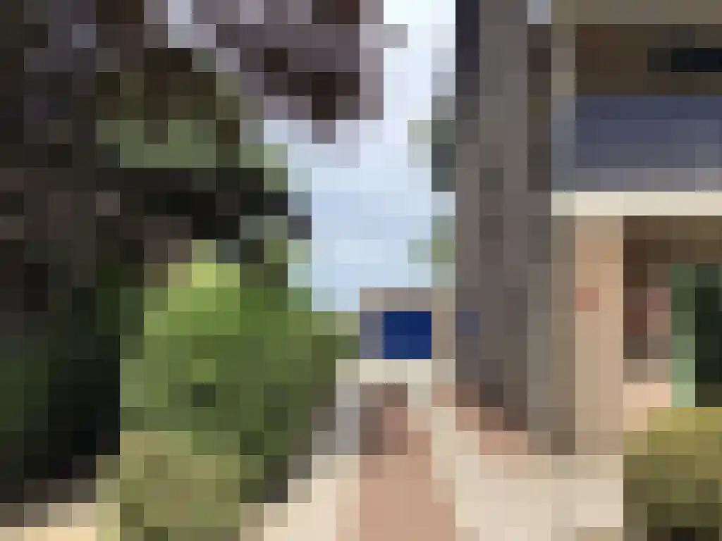 Baljuwlaan 45 Sluiskil thumbnail 21