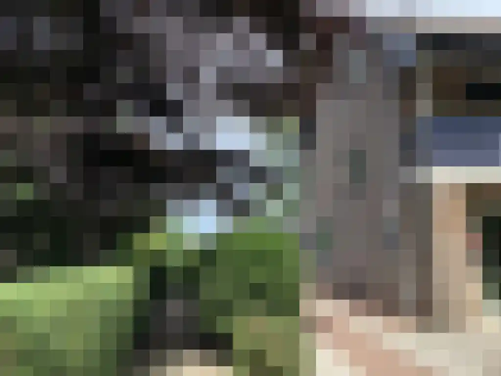 Baljuwlaan 45 Sluiskil thumbnail 22