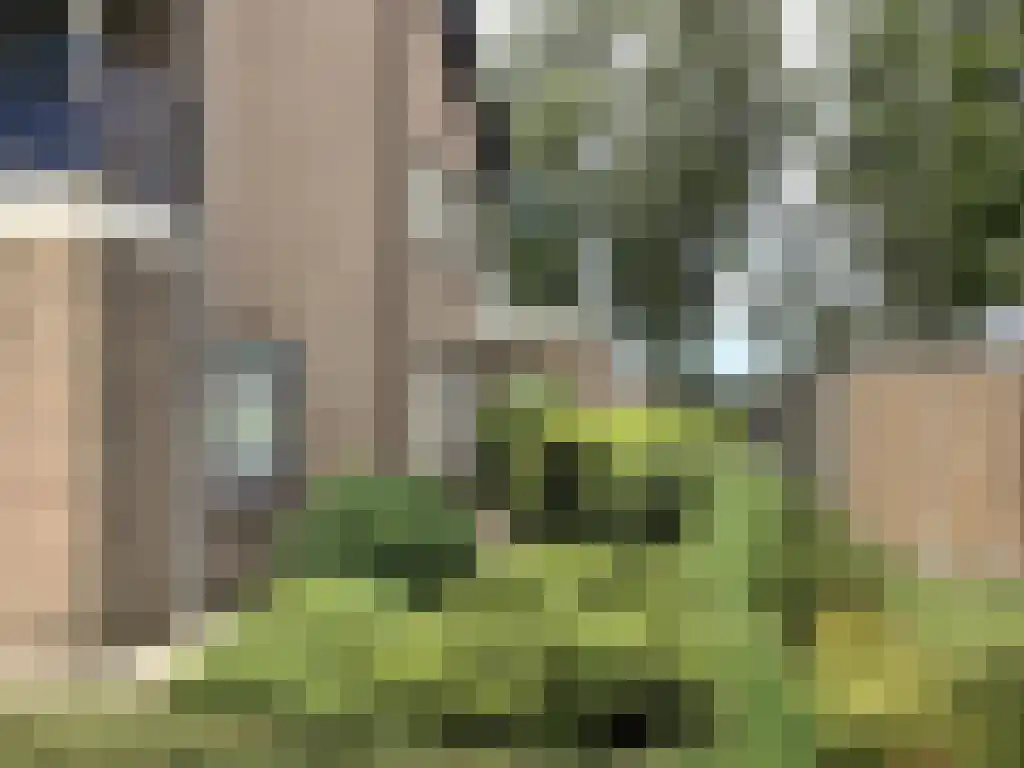 Baljuwlaan 45 Sluiskil thumbnail 24