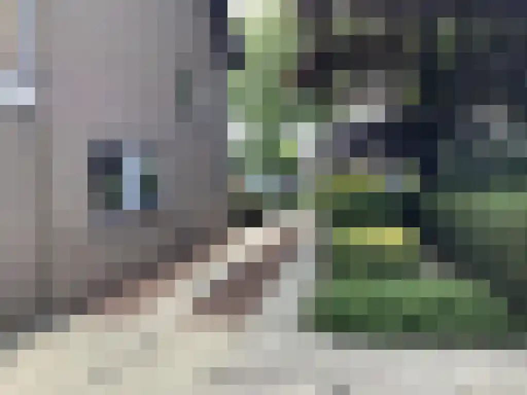 Baljuwlaan 45 Sluiskil thumbnail 27