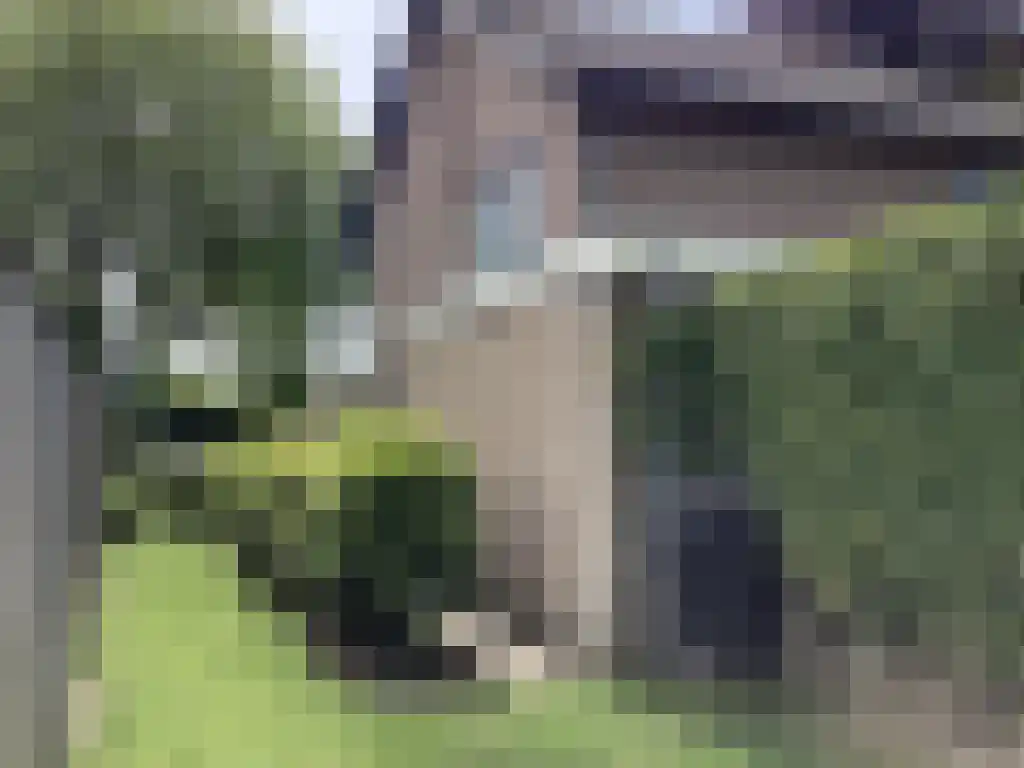 Baljuwlaan 45 Sluiskil thumbnail 28