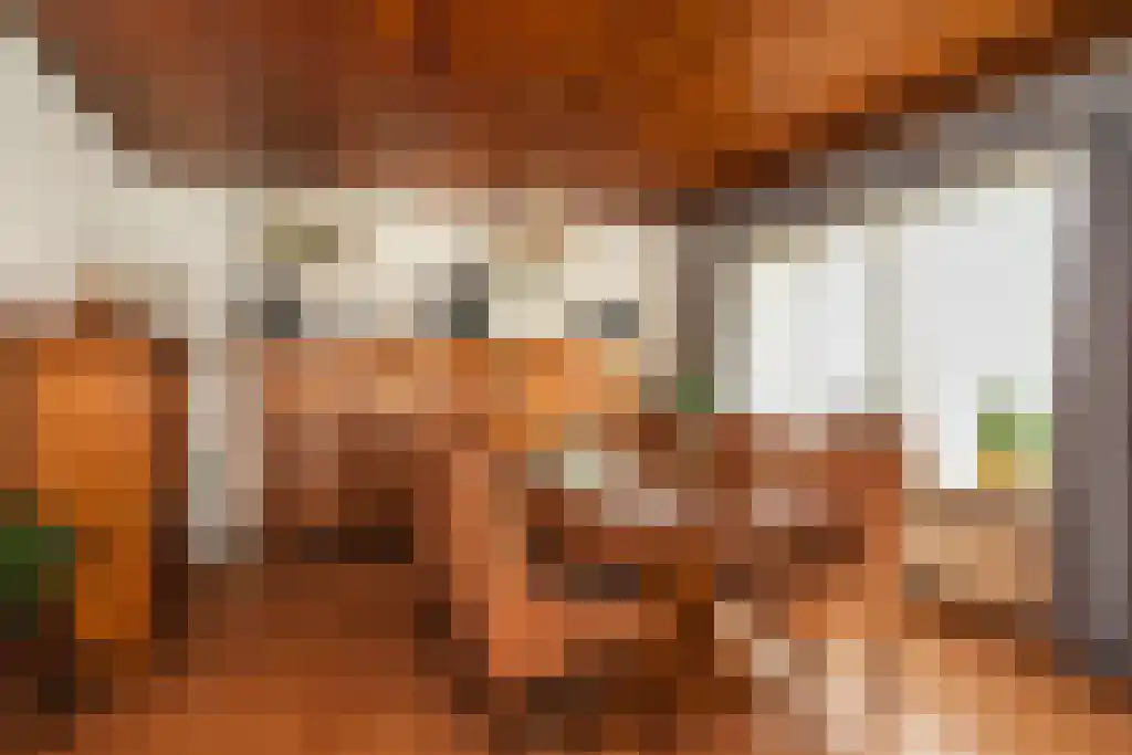 Baljuwlaan 45 Sluiskil thumbnail 8