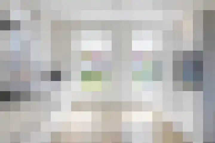 Baljuwlaan 5 Mijnsheerenland thumbnail 11