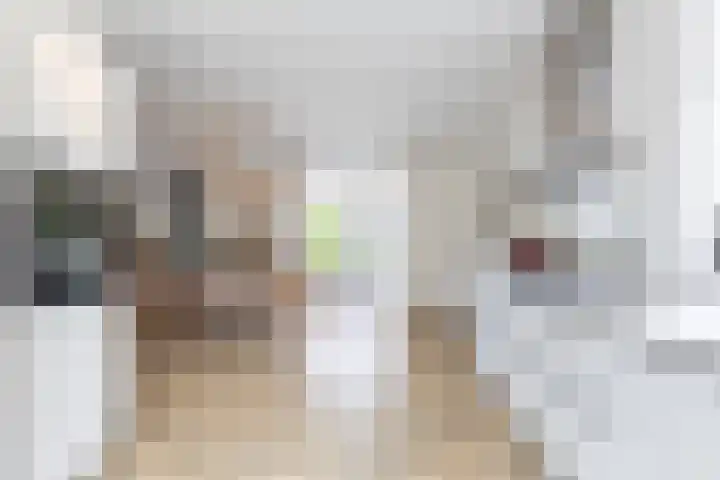 Baljuwlaan 5 Mijnsheerenland thumbnail 13