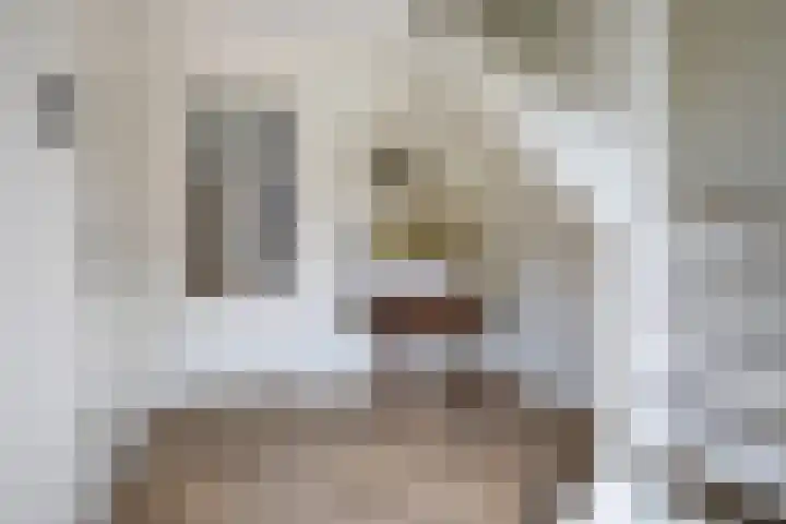 Baljuwlaan 5 Mijnsheerenland thumbnail 16