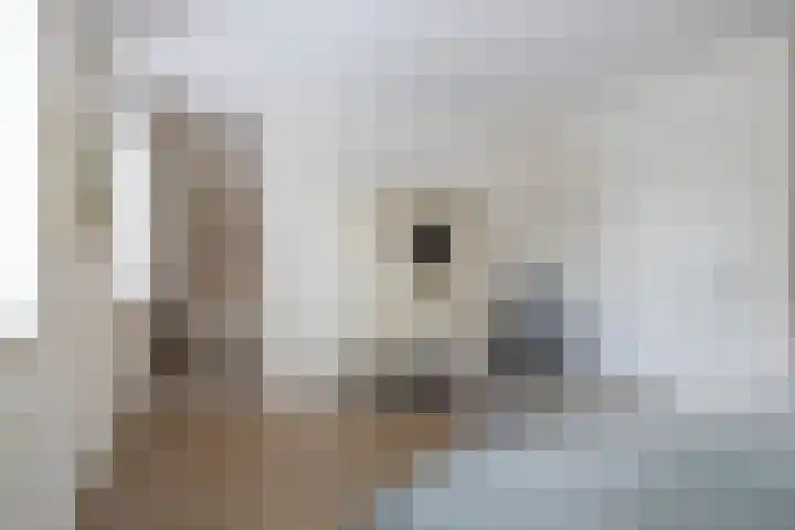 Baljuwlaan 5 Mijnsheerenland thumbnail 19