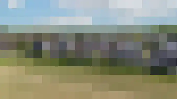 Baljuwlaan 5 Mijnsheerenland foto 2