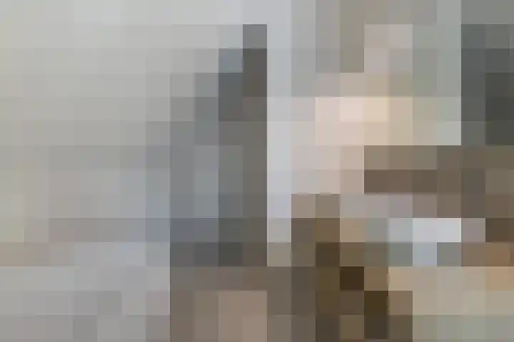 Baljuwlaan 5 Mijnsheerenland thumbnail 20
