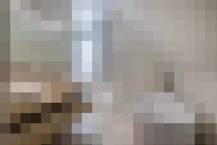 Baljuwlaan 5 Mijnsheerenland thumbnail 21