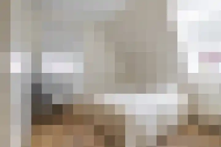 Baljuwlaan 5 Mijnsheerenland thumbnail 24
