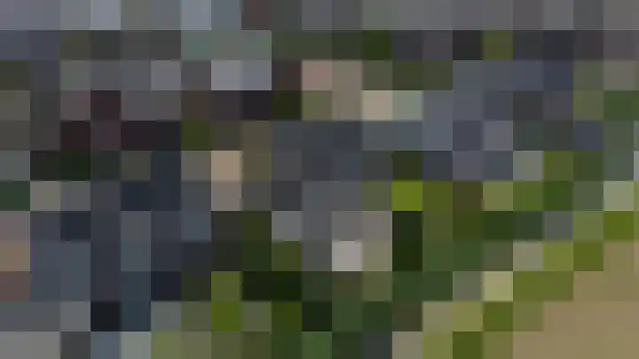 Baljuwlaan 5 Mijnsheerenland thumbnail 30