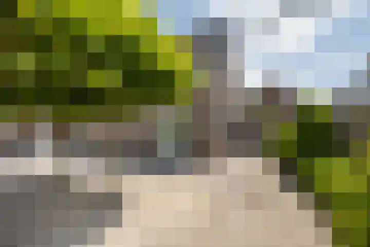 Baljuwlaan 5 Mijnsheerenland thumbnail 32