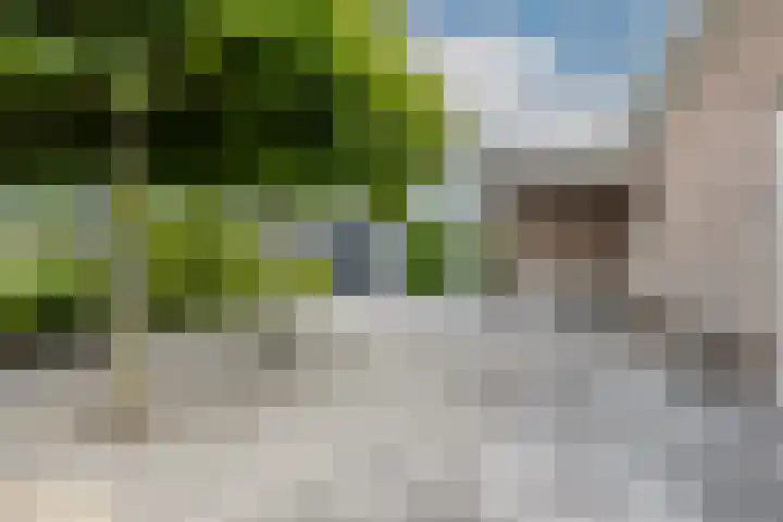 Baljuwlaan 5 Mijnsheerenland thumbnail 33