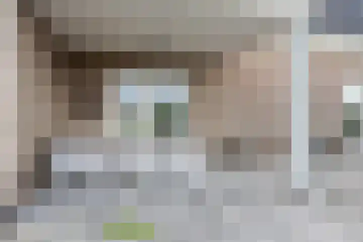 Baljuwlaan 5 Mijnsheerenland thumbnail 36