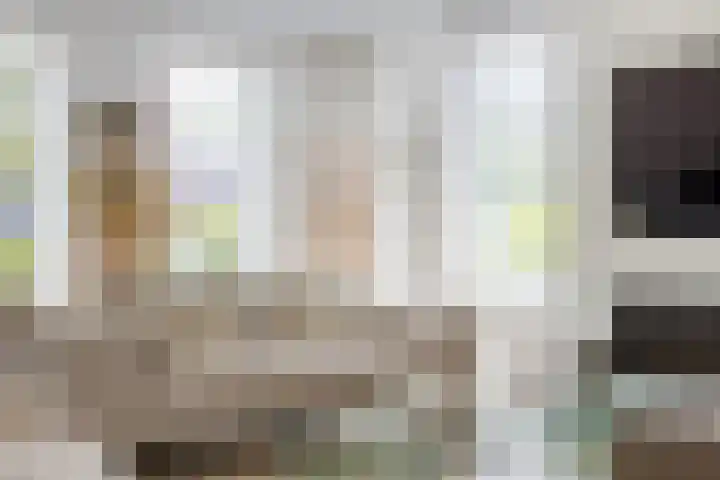 Baljuwlaan 5 Mijnsheerenland thumbnail 4