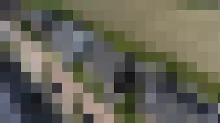 Baljuwlaan 5 Mijnsheerenland thumbnail 40