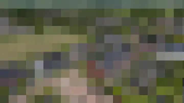 Baljuwlaan 5 Mijnsheerenland thumbnail 41