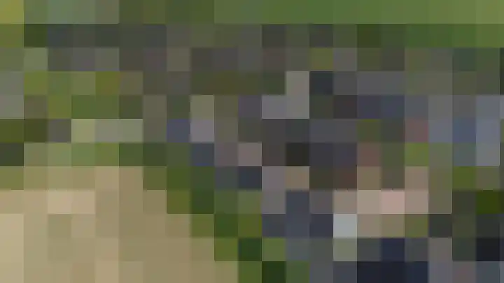 Baljuwlaan 5 Mijnsheerenland thumbnail 42