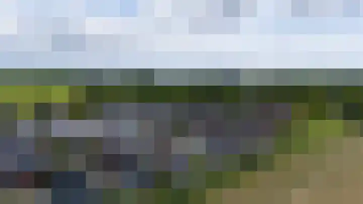 Baljuwlaan 5 Mijnsheerenland thumbnail 43