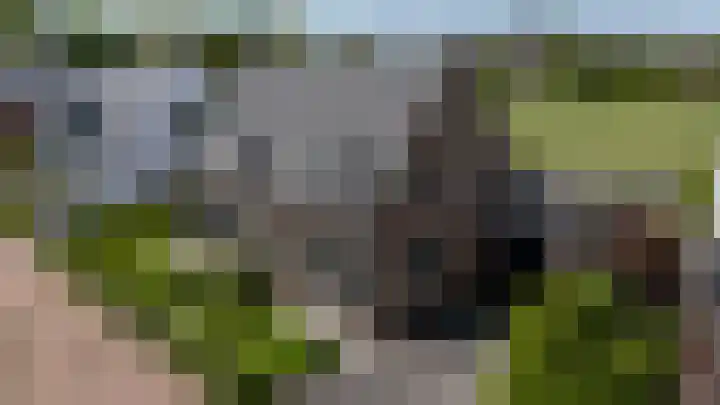 Baljuwlaan 5 Mijnsheerenland thumbnail 49