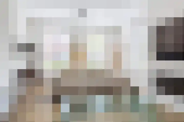 Baljuwlaan 5 Mijnsheerenland thumbnail 5