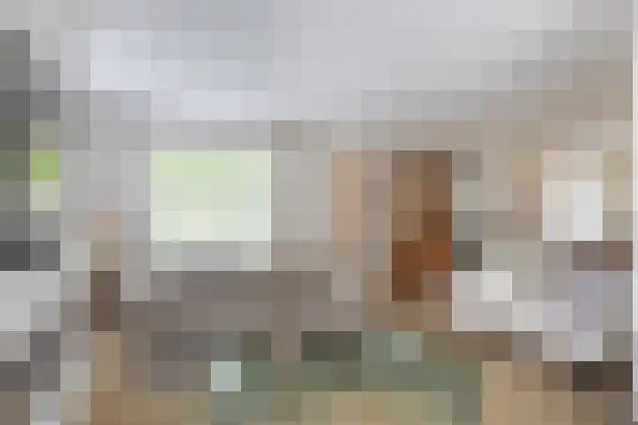 Baljuwlaan 5 Mijnsheerenland thumbnail 6