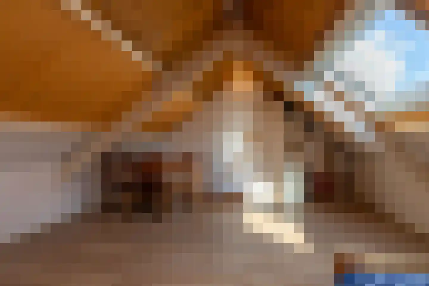 Baljuwlaan 67 Middelburg thumbnail 19