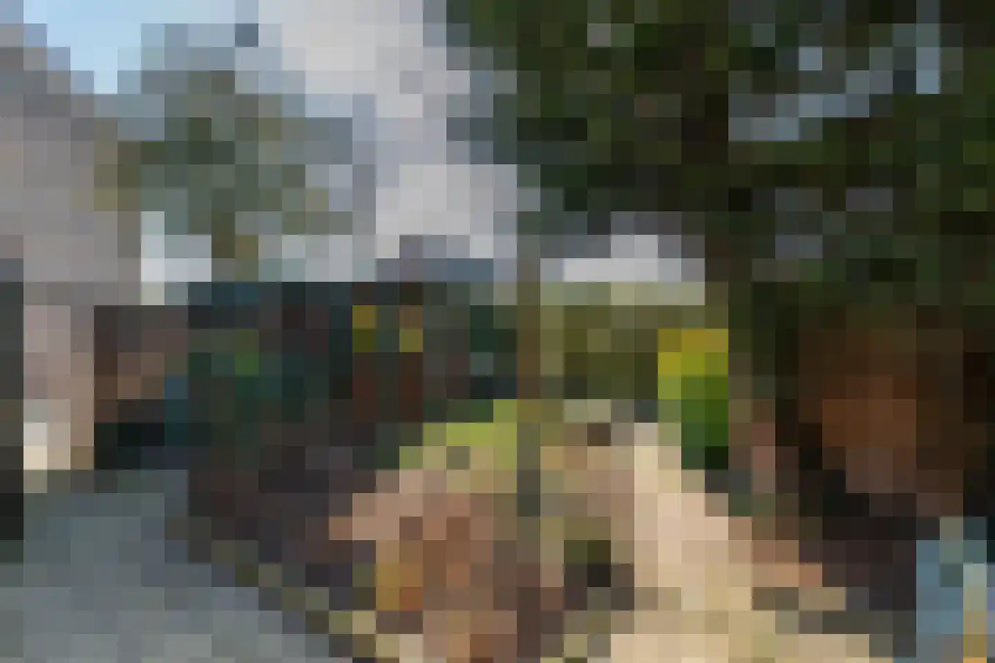 Baljuwlaan 67 Middelburg thumbnail 21