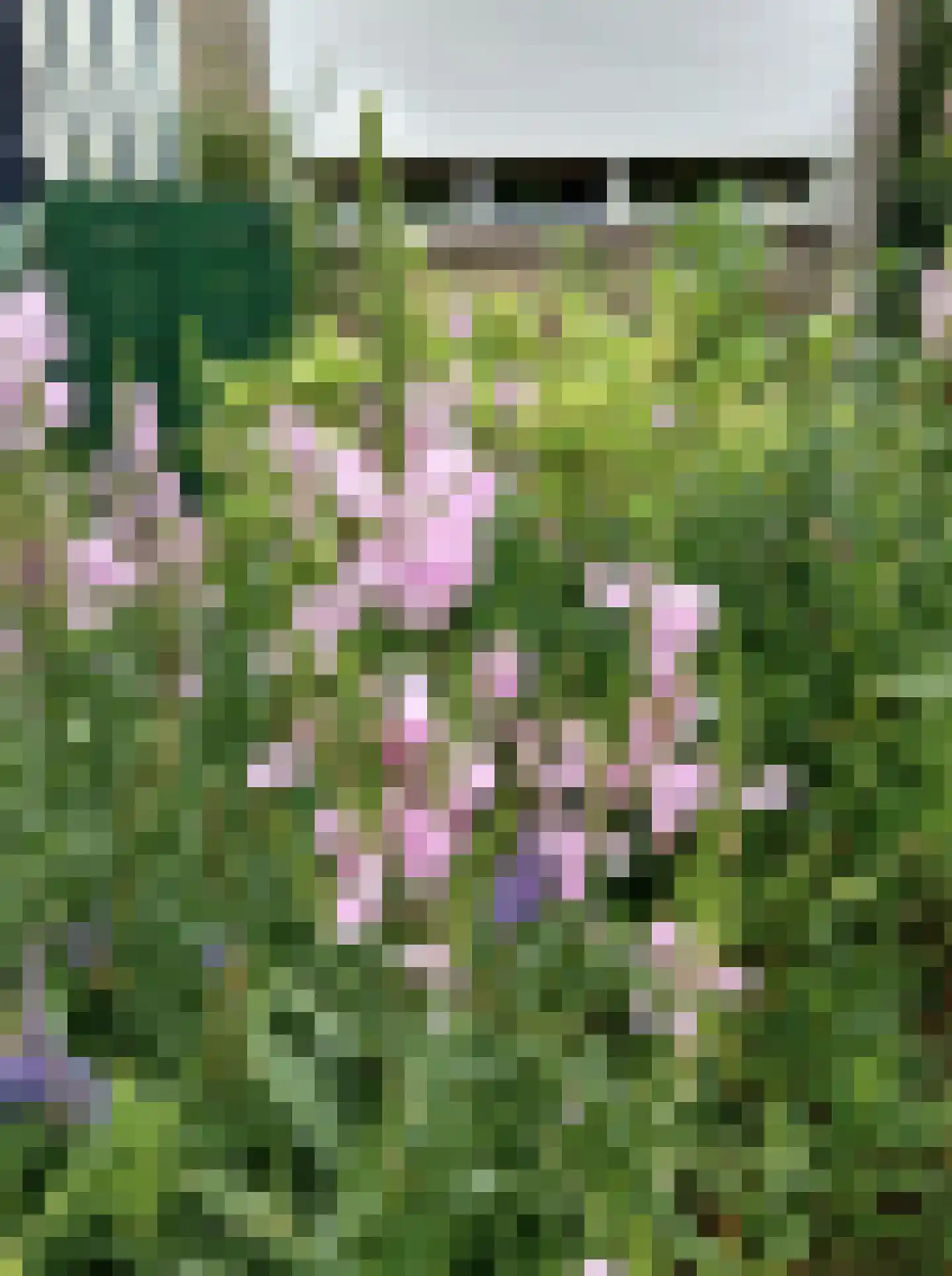 Baljuwlaan 67 Middelburg thumbnail 30