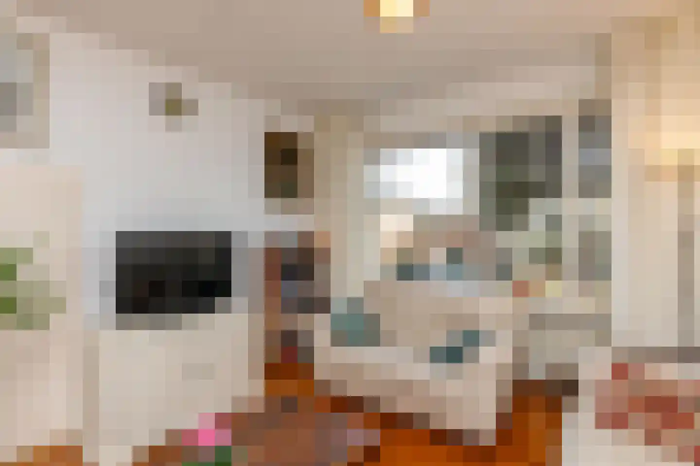 Baljuwlaan 67 Middelburg thumbnail 5