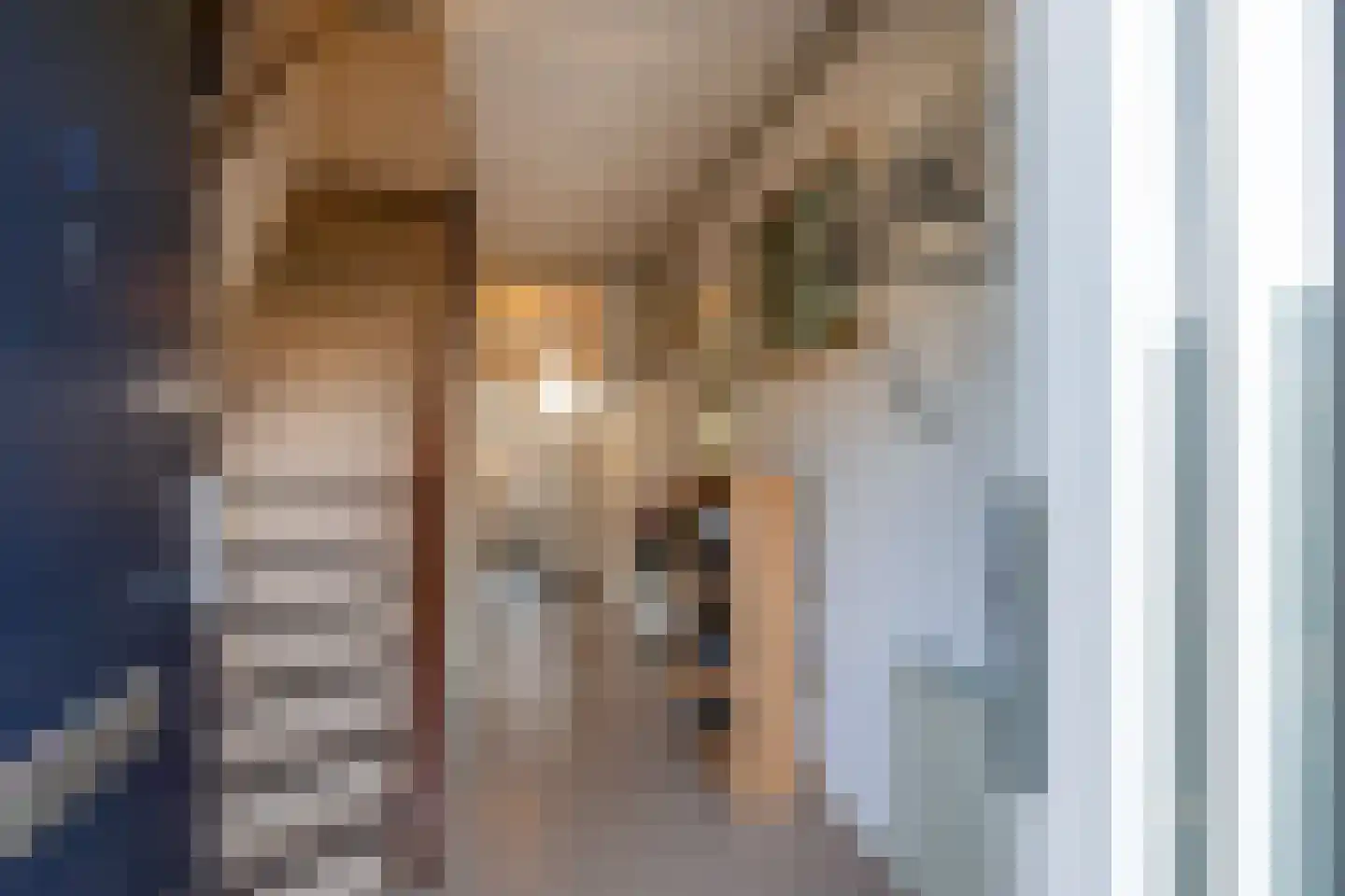 Baljuwlaan 67 Middelburg thumbnail 9