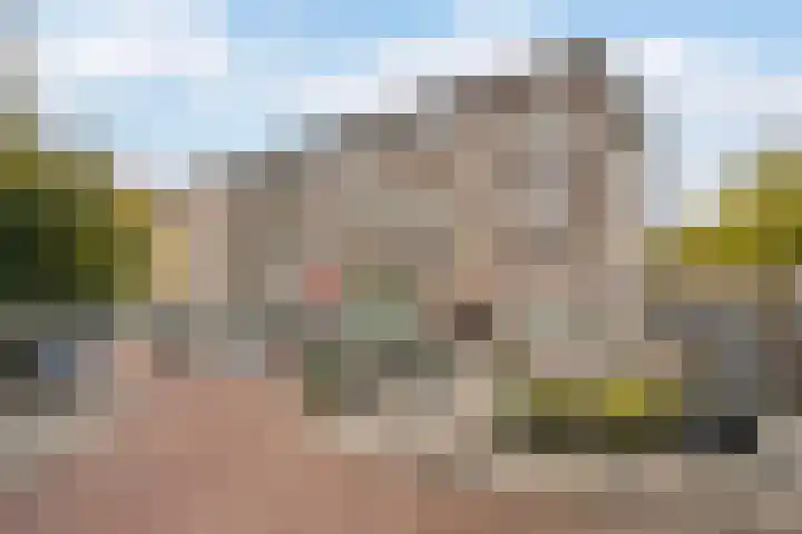 Baljuwplein 25 01 Rotterdam thumbnail 4
