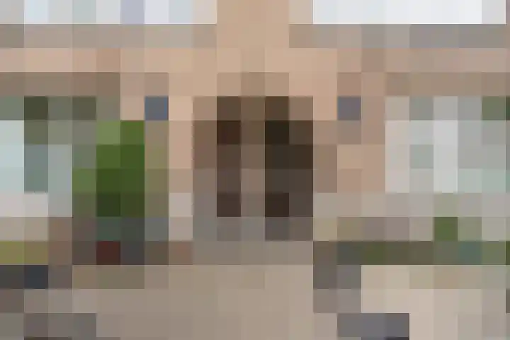 Baljuwplein 25 01 Rotterdam thumbnail 5