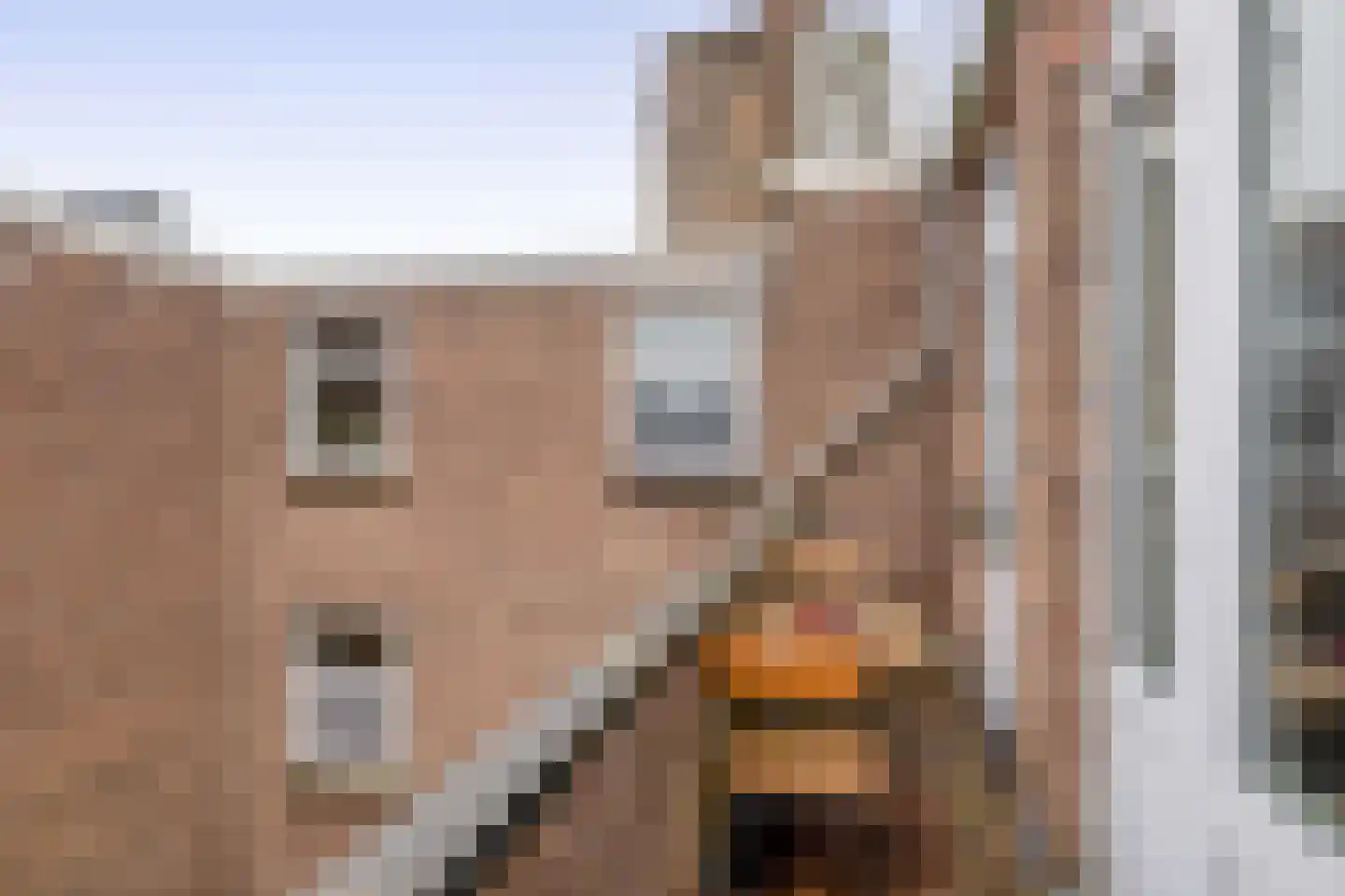 Baljuwplein 28 01 Rotterdam thumbnail 28