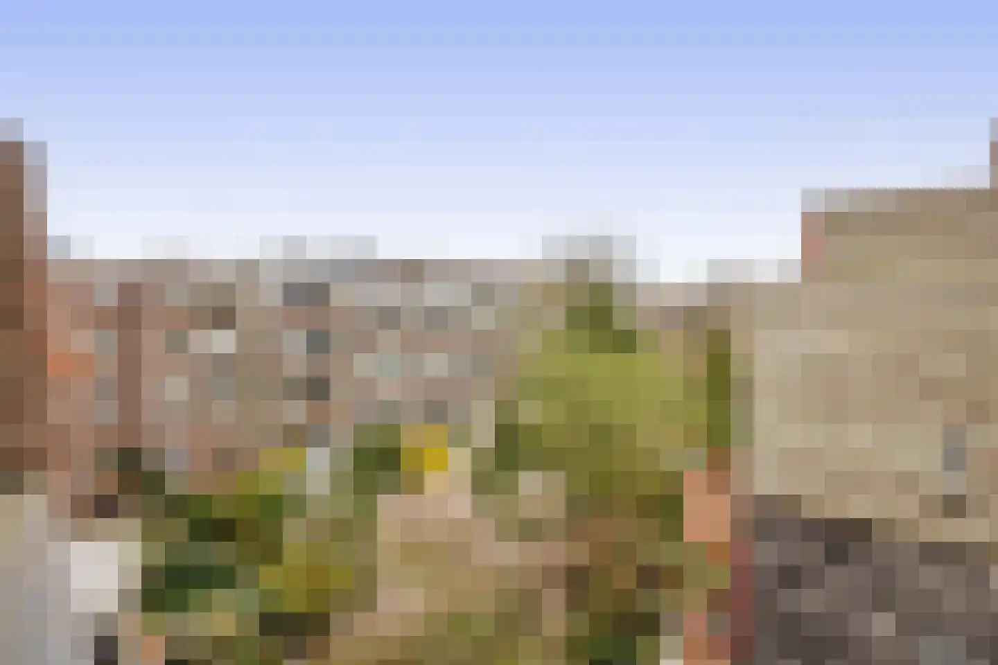 Baljuwplein 28 01 Rotterdam thumbnail 29