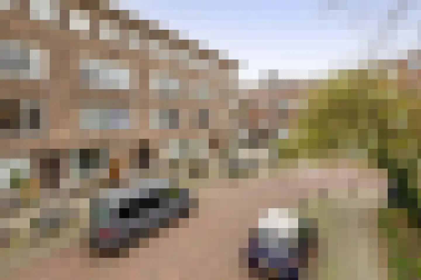 Baljuwplein 28 01 Rotterdam thumbnail 32