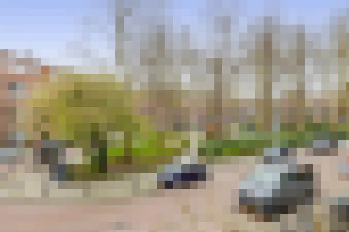 Baljuwplein 28 01 Rotterdam thumbnail 6