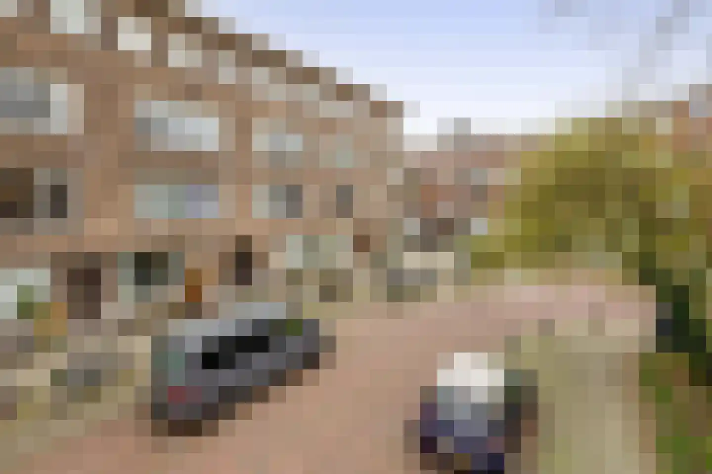 Baljuwplein 28 02 Rotterdam thumbnail 32