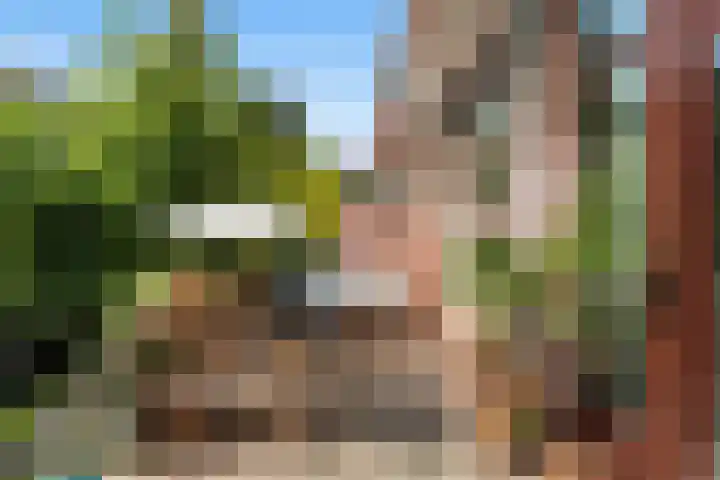 Baljuwplein 49 Rotterdam thumbnail 19