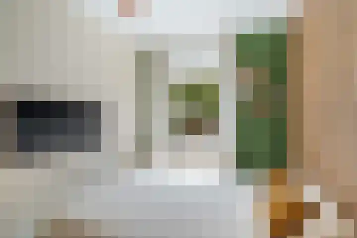 Baljuwplein 49 Rotterdam thumbnail 32