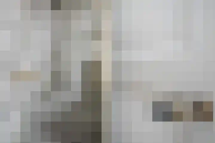 Baljuwplein 49 Rotterdam thumbnail 38