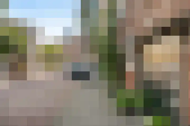 Baljuwplein 49 Rotterdam thumbnail 44
