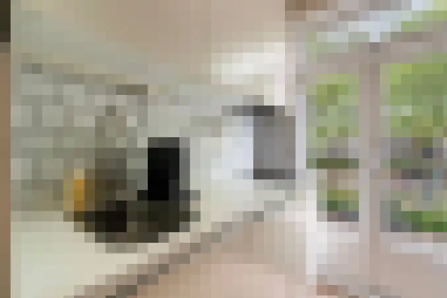 Baljuwplein 62 Rotterdam thumbnail 18